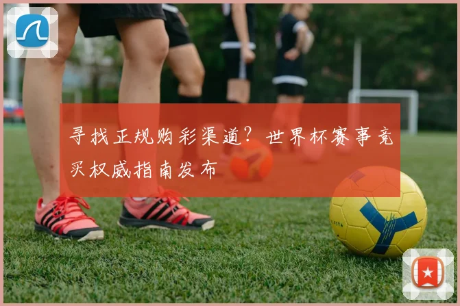 寻找正规购彩渠道？世界杯赛事竞买权威指南发布