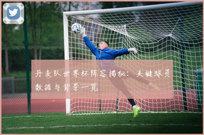丹麦队世界杯阵容揭秘:关键球员数据与背景一览