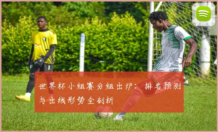 世界杯小组赛分组出炉:排名预测与出线形势全剖析