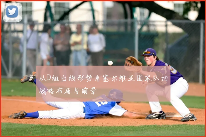 从D组出线形势看塞尔维亚国家队的战略布局与前景