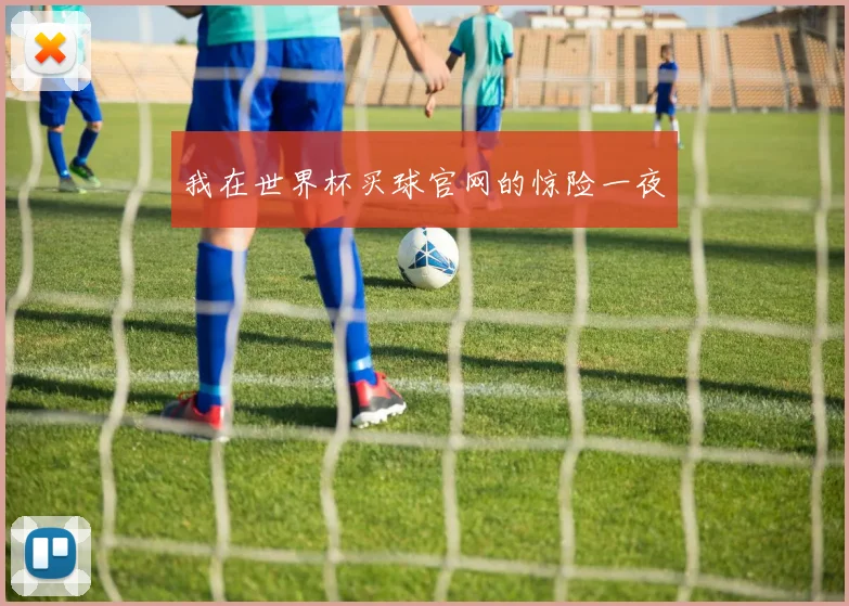 我在世界杯买球官网的惊险一夜