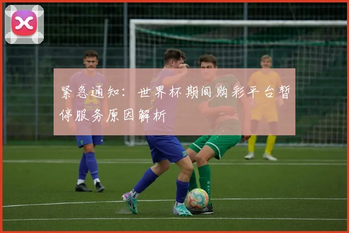 紧急通知:世界杯期间购彩平台暂停服务原因解析